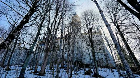 Neuschwanstein Castle through the Trees Stock Photos