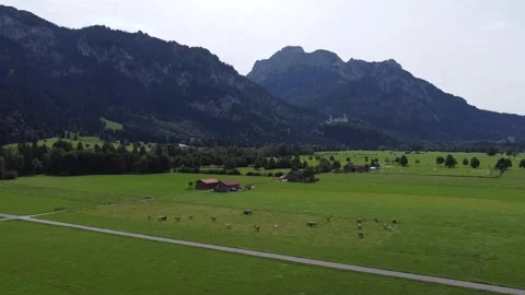 Neuschwanstein castle valley Video stock 241688589