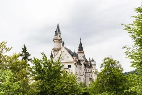 Neuschwanstein Through the Trees Stock Photos