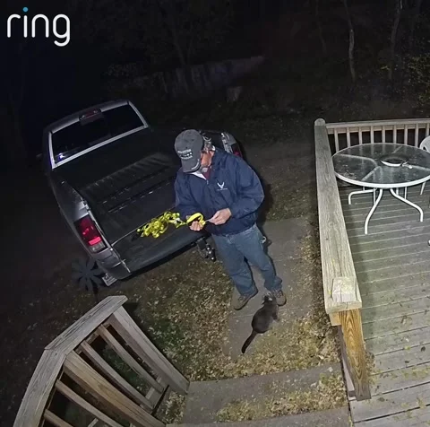 Neutered Cat Gets His Revenge, Ord, Nebraska, USA - 07 Nov 2025 Vídeo Stock 321032469