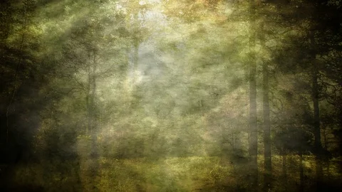 Neutral Colored Abstract Forest Background Loop Video stock 88770255