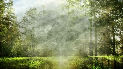 Neutral Colored Abstract Forest Background Loop Vídeo Stock 88770660