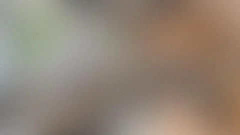 Neutral Gradient Background With Soft Gray and Brown Tones abstract texture Stock Illustration