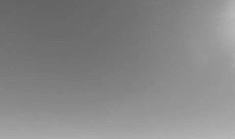 Neutral Gray Abstract Background Stock Photos
