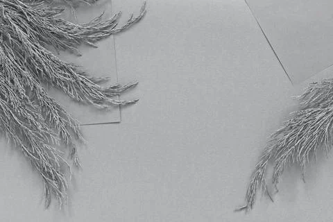 Neutral gray flat lay background with branches and copy space Stock Photos