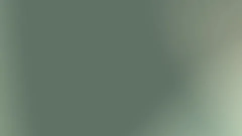 Neutral Sage Green Solid Background for Design Templates Video stock 301507702