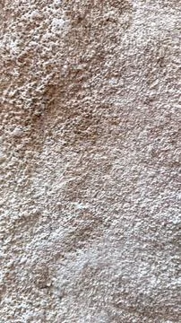 Neutral stone surface creates compressed texture, offering rich but quiet Stock Photos