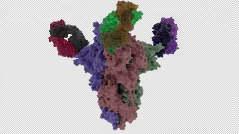 Neutralizing Antibody 4A8 binds Sars-COV-2 Spikeprotein Stock Footage 154736609