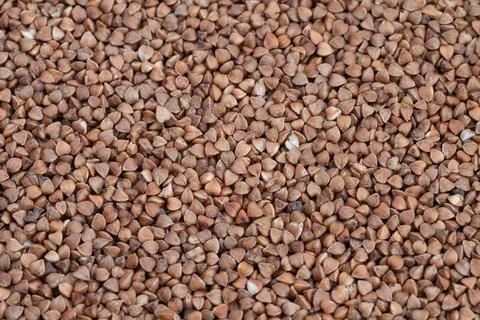 Neutraltoned buckwheat with rhythmic triangular shapes, Elegant design backdrop 写真素材