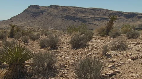 Nevada desert Видео 116050580