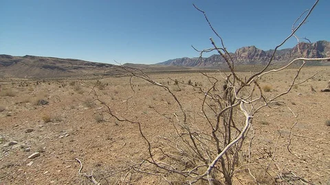 Nevada desert Видео 116050828