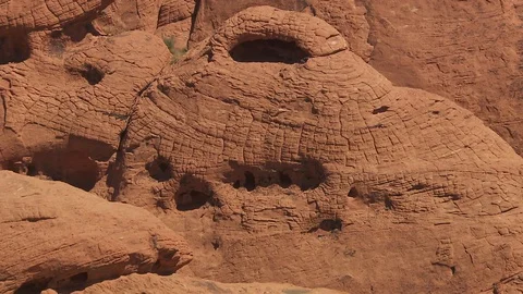 Nevada desert Видео 116050835