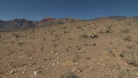 Nevada desert Видео 116050969