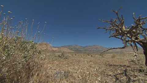 Nevada desert Видео 116051482