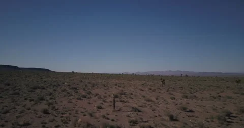 Nevada Desert Video stock 171955855