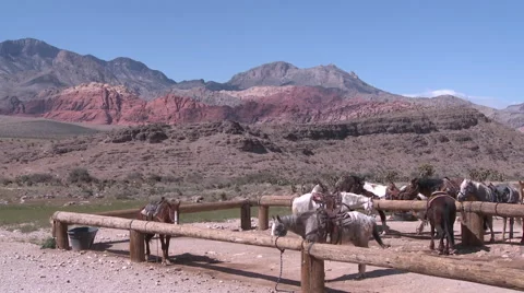 Nevada Desert Landscape Stock Footage 63881555