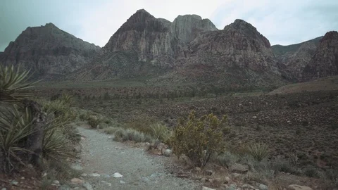 Nevada Desert Motion Stock Footage 105476184