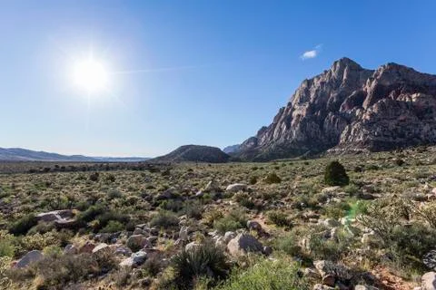 Nevada Desert Sun Stock Photos