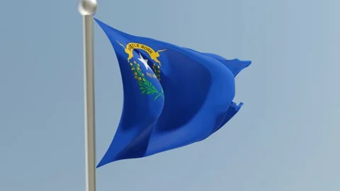 Nevada flag on flagpole. NV flag fluttering in the wind. USA. Stock-Footage 170570199