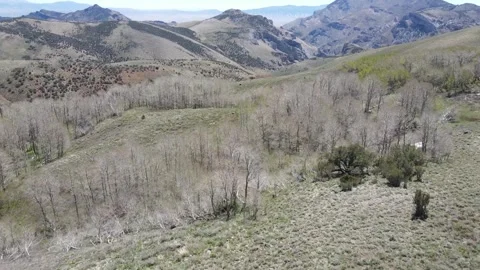 Nevada mountains  Stock Footage 321158346