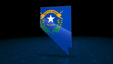 Nevada State Election Background 05 Stock Footage 124620588