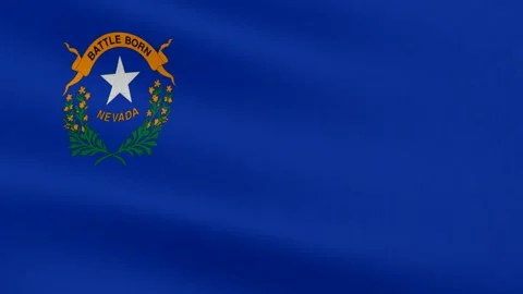 Nevada State Flag, Cotton Fabric Stock Footage 299078260