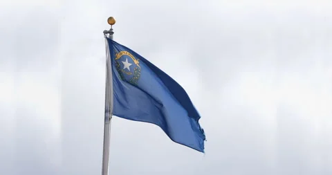 Nevada State Flag Stock Footage 284791021