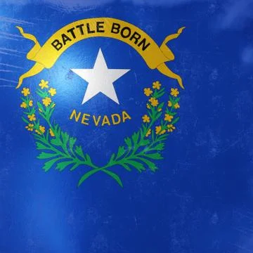 Nevada State flag icon Stock Illustration