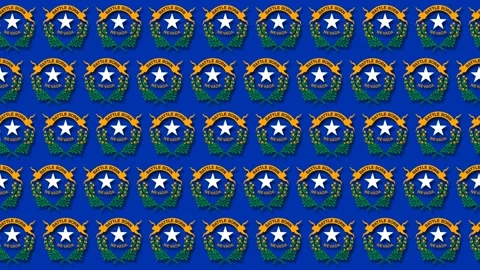 Nevada State Flag Pattern Background Celebrating Native American Day. Stock Footage 342332208