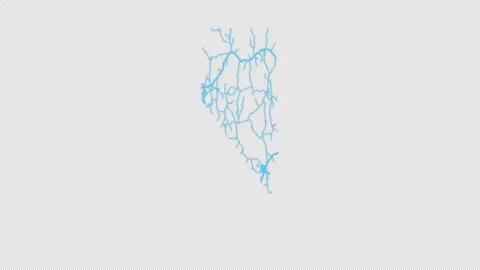 Nevada State Line Map Self Drawing Animated Overlay, Alpha 4K 스톡 동영상 340292825