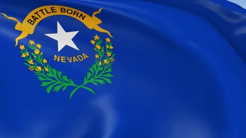 Nevada State Waving Flag Background Loop Stock Footage 317846690