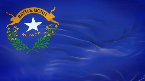 Nevada (U.S. state) flag with highly detailed fabric texture 動画素材 124712862