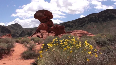 Nevada, Valley of Fire 스톡 동영상 37179899