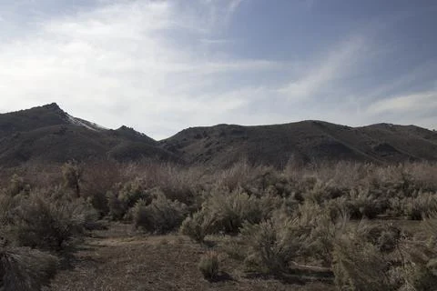 Nevada's Backyard Stock Photos
