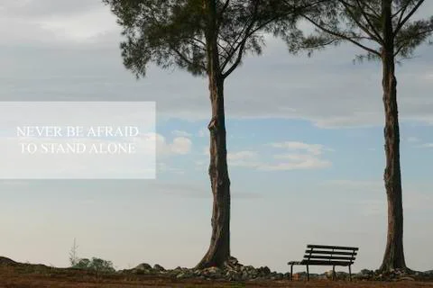Never be afraid to stand alone. Stock Photos