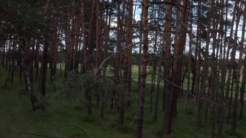 The never ending crane shot over the forest. 스톡 동영상 112095541
