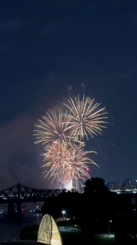Never ending stream of fireworks bursts in night sky, forming flower like shape Stock Footage 324687791