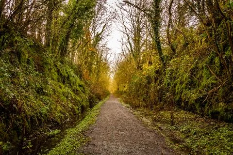 Never ending trail through a broadleaf woodland forest along the old Galloway Stock Photos