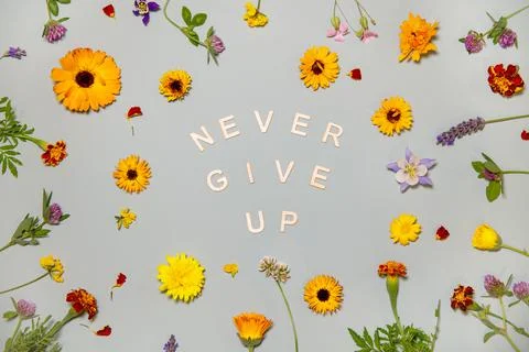 Never give up motivation wallpaper Stock Photos
