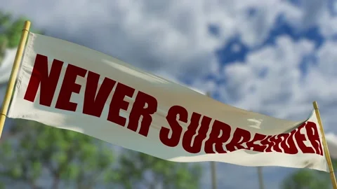 Never surrender transparent sign on bokeh forest bg Stock Footage 171243547