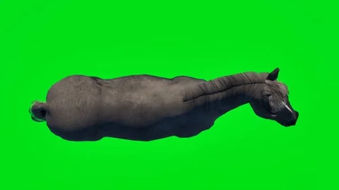 New 3D animated horse isolated on a green screen. Perfect for VFX Stock Footage 329596282