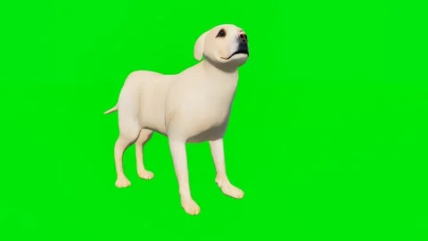 New 3D animated hound isolated on a green screen. Perfect for VFX Vídeo Stock 329596424