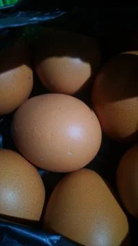New arrival eggs Stockfoto's