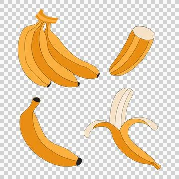 New Banana Bundle Set Stock Illustration