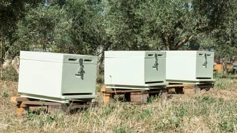 New beehives Stock Photos