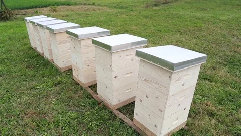 New beehives ready to accommodate tenants Stock Footage 74910962