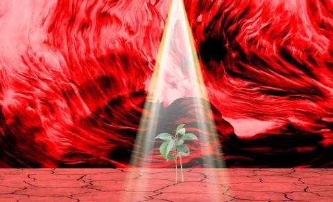 A new beginning Stock Photos