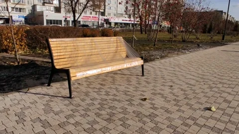 New bench in polyethylene in the park Stock Footage 219856835