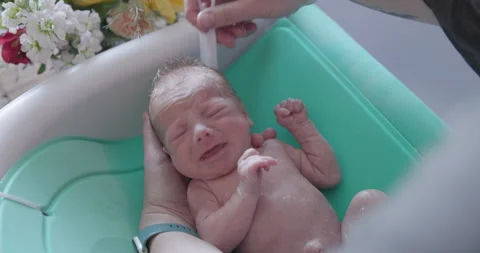 New Born Babies First Bath Combing Hair Stock Footage 246520278