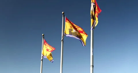 New Brunswick provincial flag blows in the wind Stock Footage 287484792